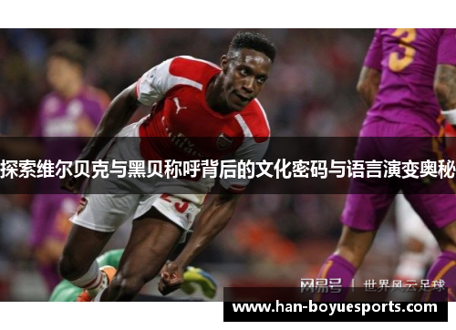 探索维尔贝克与黑贝称呼背后的文化密码与语言演变奥秘