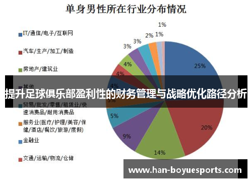 提升足球俱乐部盈利性的财务管理与战略优化路径分析