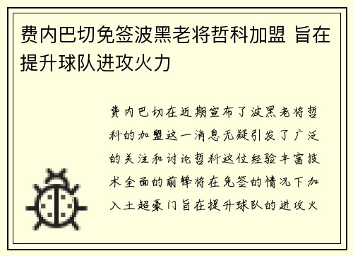 费内巴切免签波黑老将哲科加盟 旨在提升球队进攻火力