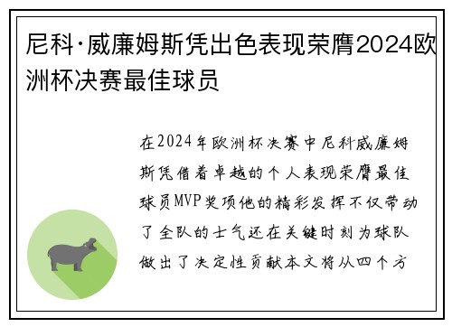 尼科·威廉姆斯凭出色表现荣膺2024欧洲杯决赛最佳球员